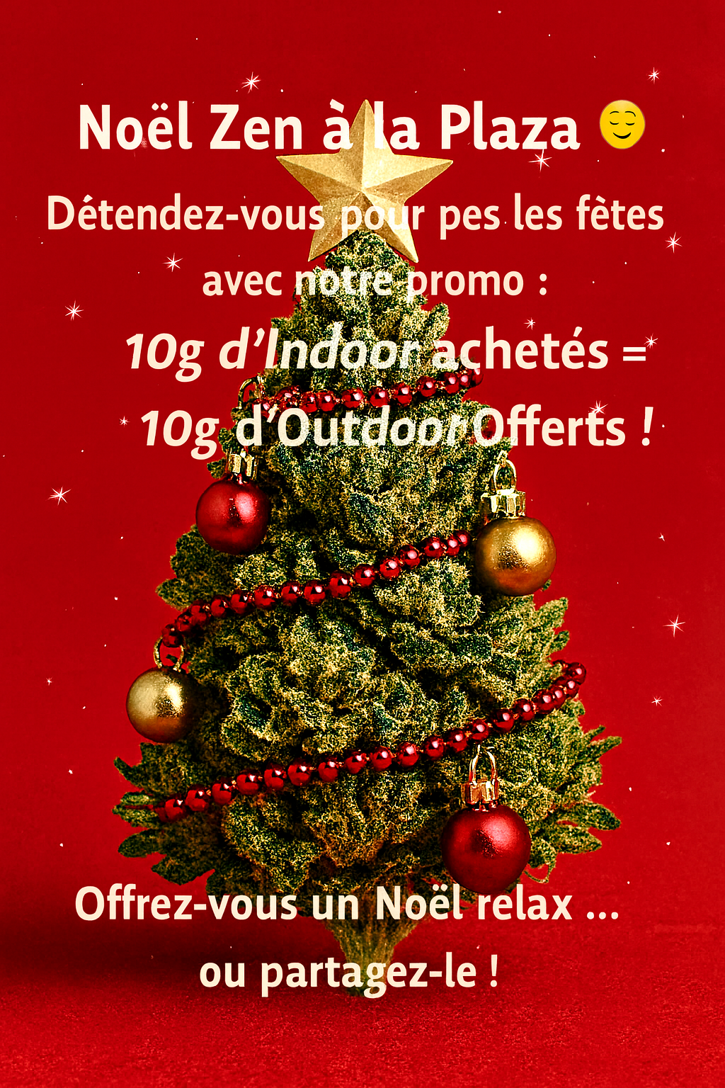 Promotions de Noel !