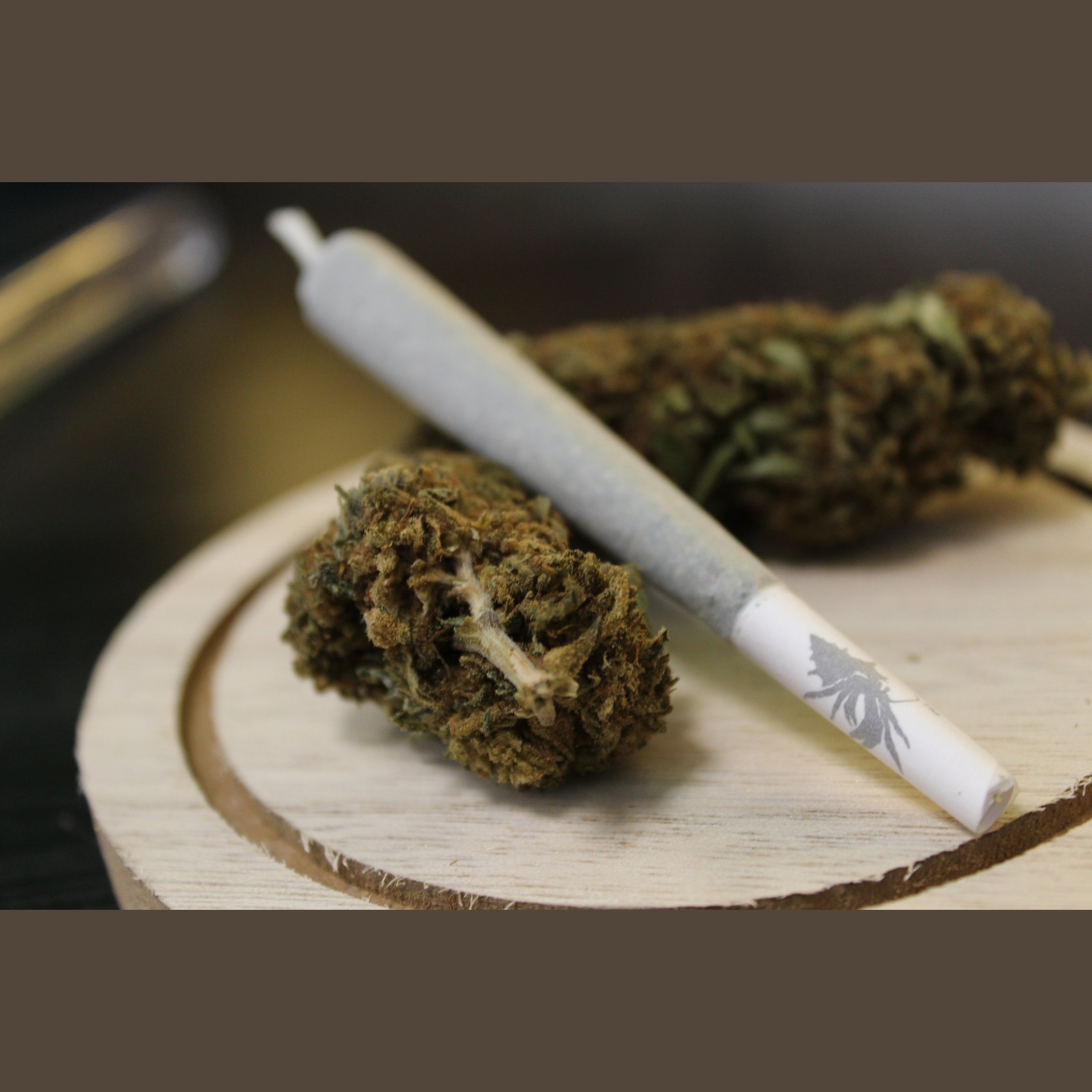 Infu sticks Amnesia Indoor